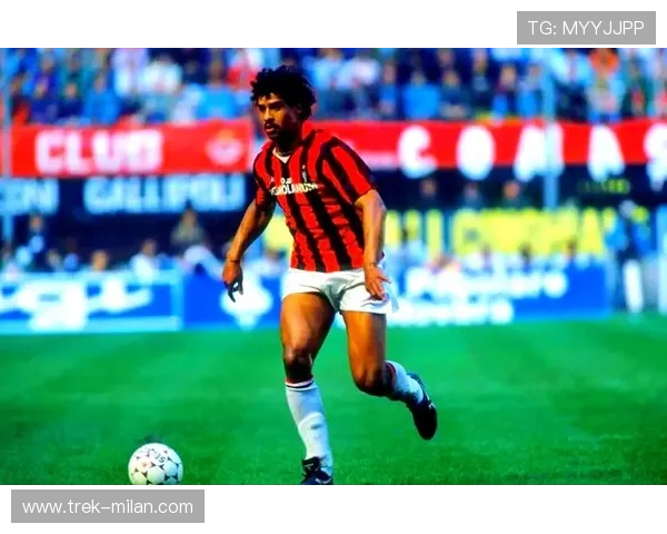 聚焦那些在球场拼搏的近视球星展现独特风采与励志故事