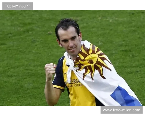 红塔足球队退役球星的辉煌历程与影响力分析